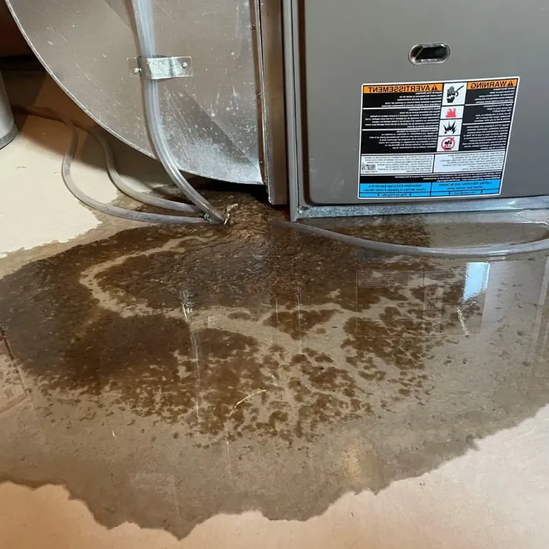 Pipe Burst and Leak Restoration in Rio Dell, CA